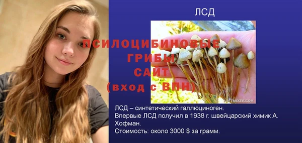 хмурый Армянск